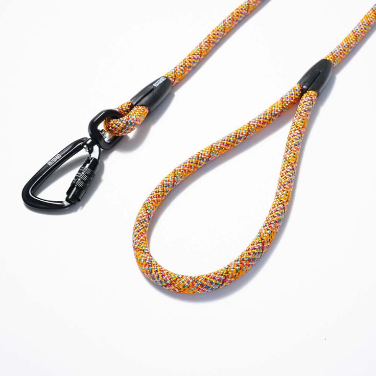 osaka-green-guinzaglio-fisso-(3)