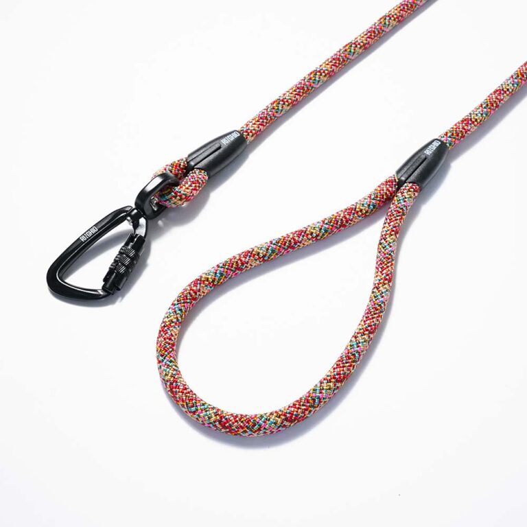 osaka-red-guinzaglio-fisso-(3)