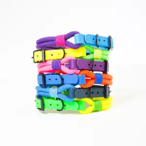 Collare Smile Fluo