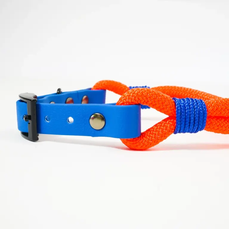 collare-smile-fluo-3
