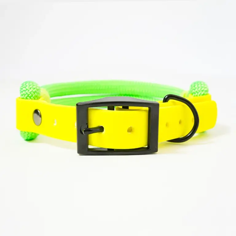 collare-smile-fluo-4