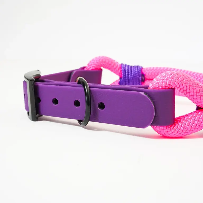 collare-smile-fluo-6