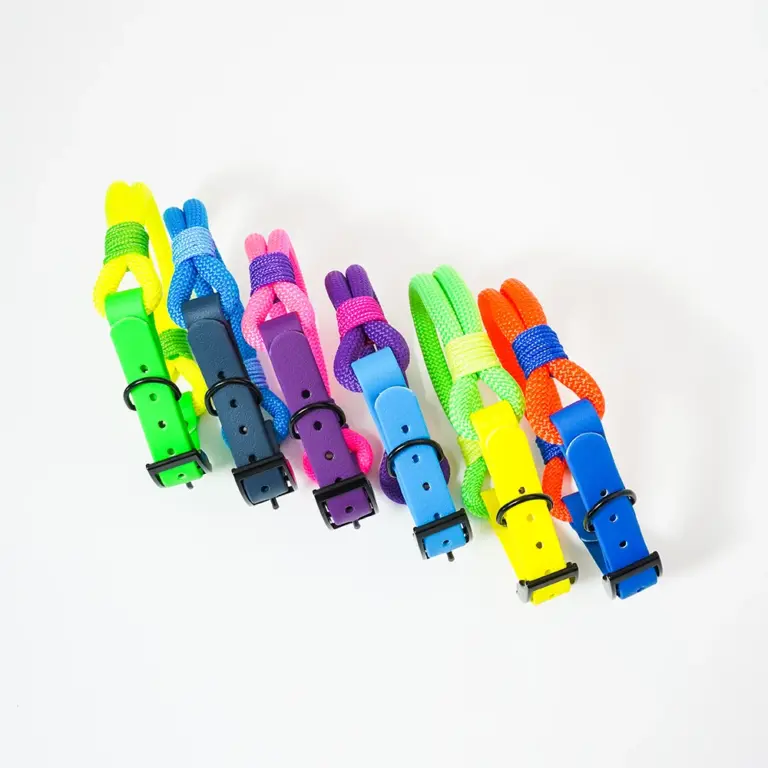 collare-smile-fluo-7