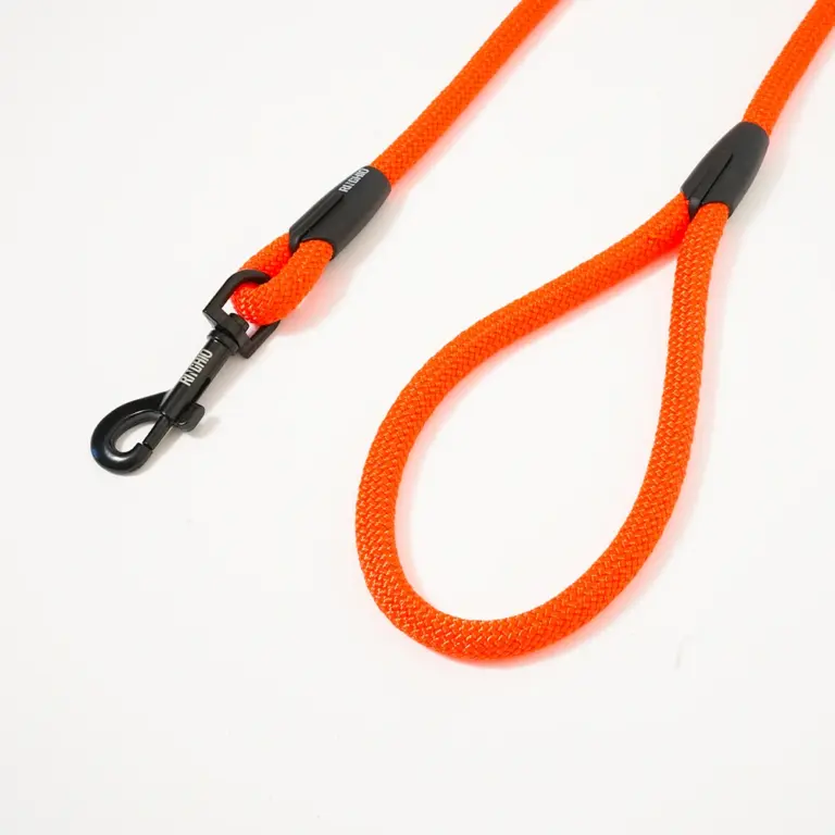 guinzaglio-fisso-arancione-fluo-3