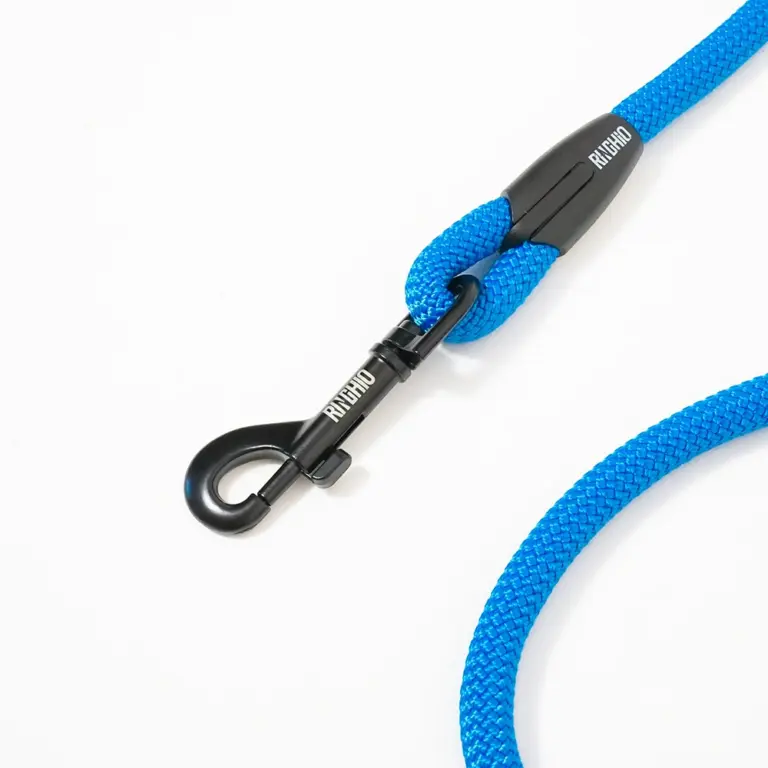 guinzaglio-fisso-blu-fluo-2