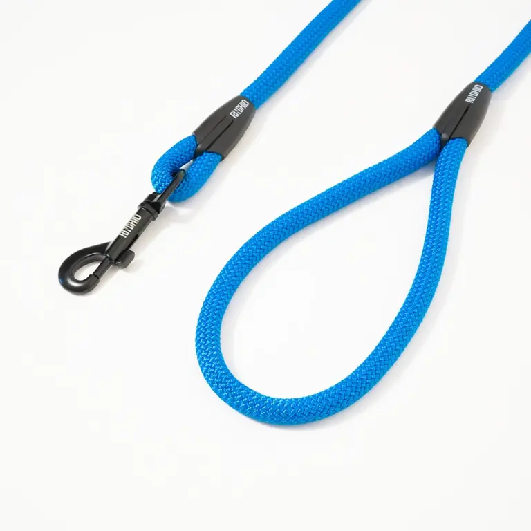 guinzaglio-fisso-blu-fluo-3