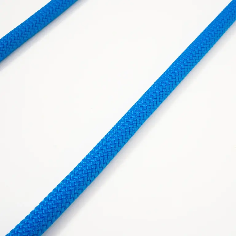 guinzaglio-fisso-blu-fluo-4