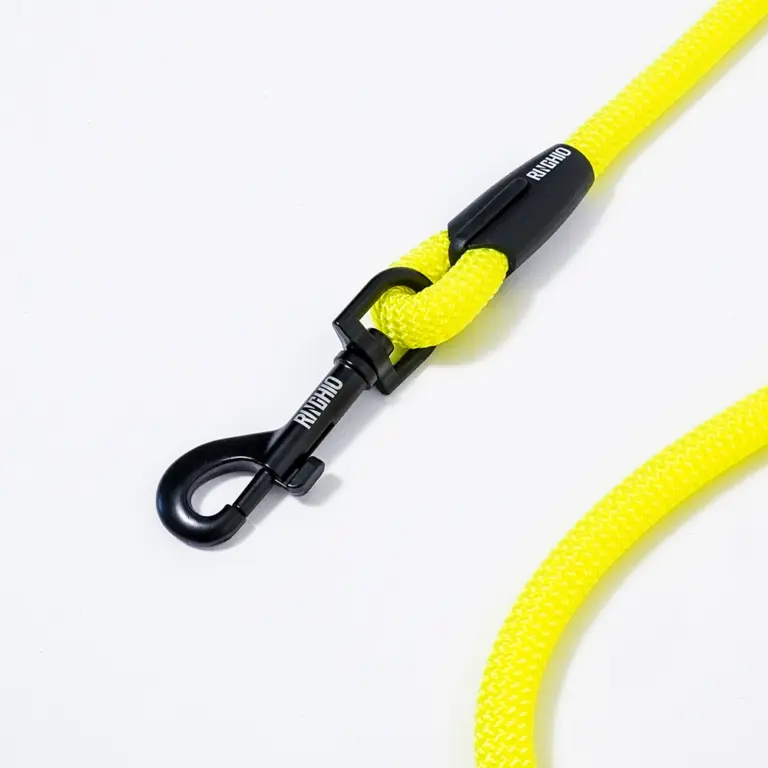 guinzaglio-fisso-giallo-fluo-2