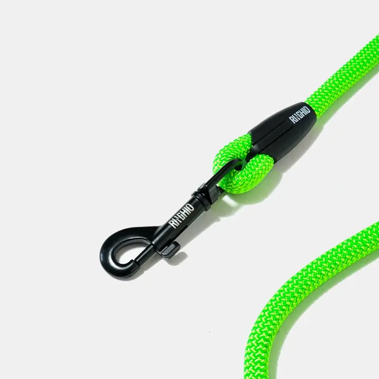 guinzaglio-fisso-verde-fluo-2