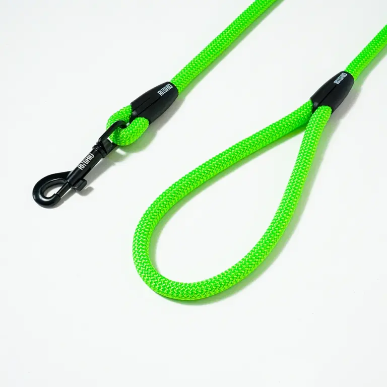 guinzaglio-fisso-verde-fluo-3