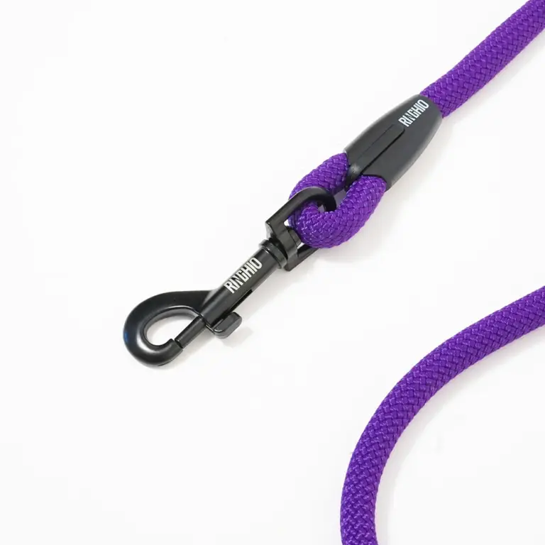 guinzaglio-fisso-viola-fluo-2
