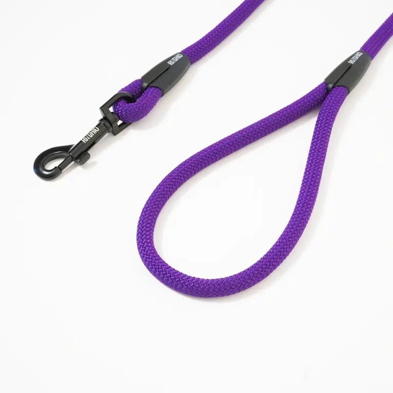 guinzaglio-fisso-viola-fluo-3