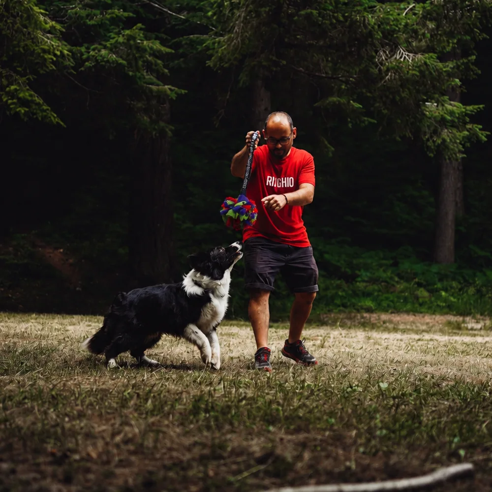 ringhio gioco cani tub ball 05 amb
