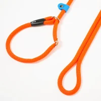 guinzaglio-allungabile-retriever-arancione-fluo-3