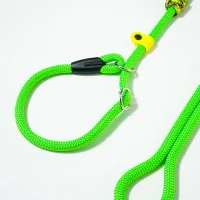 guinzaglio-allungabile-retriever-verde-fluo-3