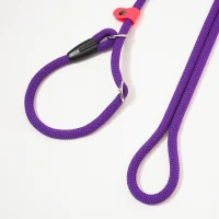 guinzaglio-allungabile-retriever-viola-fluo-3