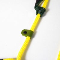 lemon-retriever-6