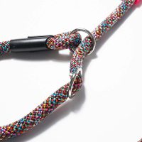 osaka-fuxia-guinzaglio-retriever-(4)