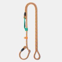 osaka-green-guinzaglio-retriever-(1)