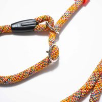 osaka-green-guinzaglio-retriever-(5)