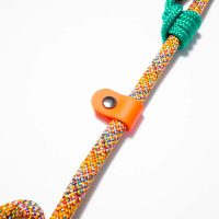 osaka-green-guinzaglio-retriever-(6)