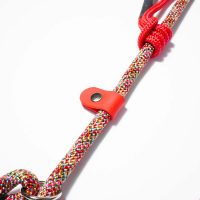 osaka-red-guinzaglio-retriever-(5)