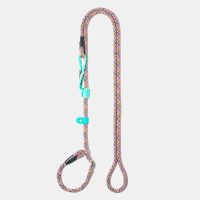 osaka-sea-guinzaglio-retriever-(1)