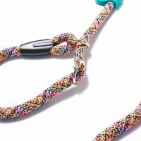 osaka-sea-guinzaglio-retriever-(4)