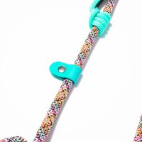 osaka-sea-guinzaglio-retriever-(5)