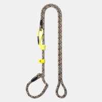 osaka-yellow-guinzaglio-retriever-(1)