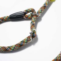 osaka-yellow-guinzaglio-retriever-(6)