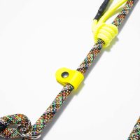 osaka-yellow-guinzaglio-retriever-(7)