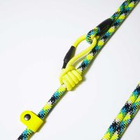 ruwilton-retriever-2