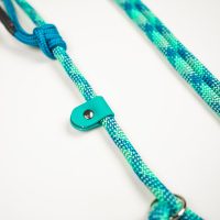 zante-guinzaglio-retriever-2.jpg
